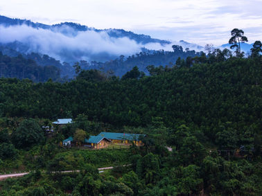 DJI_20250520180945_0142_D_AIR3