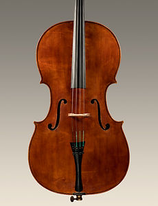 cello-nicolasegatta-01