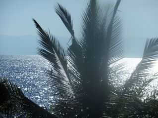 The Beauties Of Lake Tanganyika