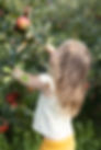 5M7A5889.jpg