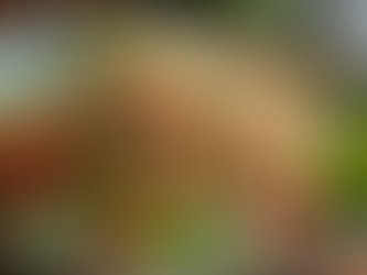 Healthy Recipes to Fuel Your Wellness Adventure