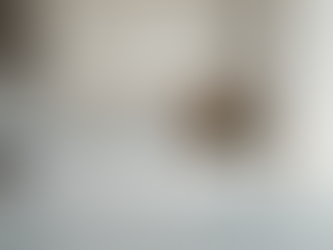 What Client Reviews of Girka Design Build Reveal