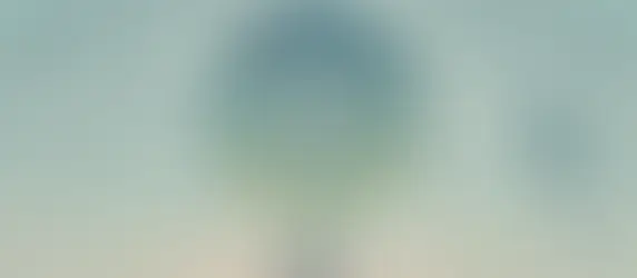 La Neurofibromatose de type 1 (NF1)