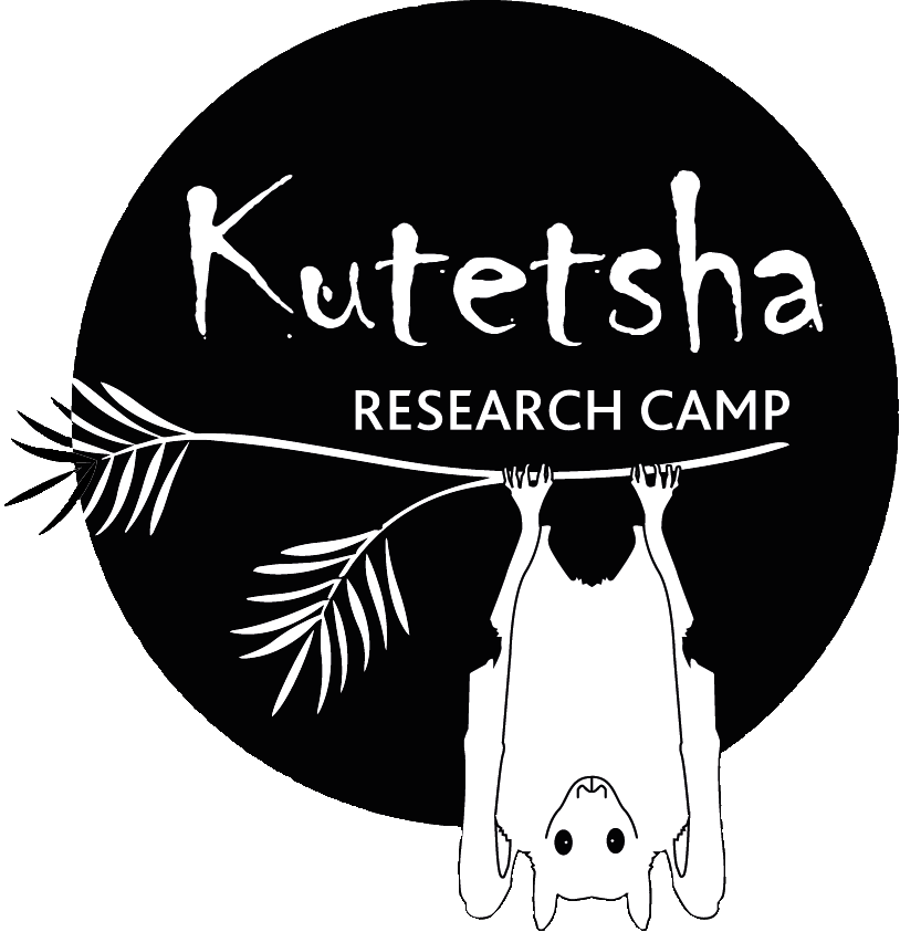 Kutetsha Logo ohne Rand-2.gif