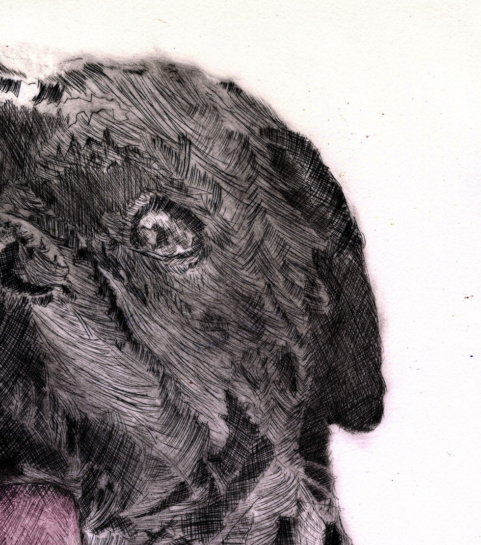 penny, Intaglio1