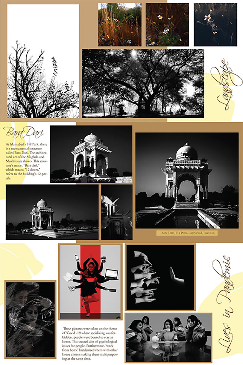 Themed Photography_800