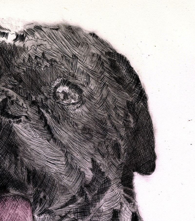 penny, Intaglio1_800