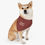 Thumbnail: Maroon Three Dog Bandana + Collar