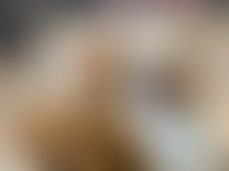 The Power of Positive Reinforcement: 5 Effective Dog Training Techniques