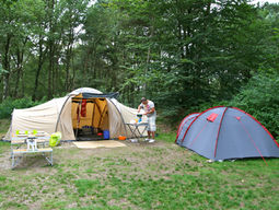 Ze hoeven niet op safari om gelukkig te worden