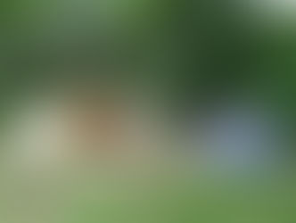 Ze hoeven niet op safari om gelukkig te worden