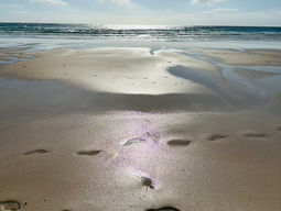 Leven met zero fucks given