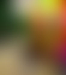 Scottsdale Saguro: This is Neon Bedroom Paradise of the Desert