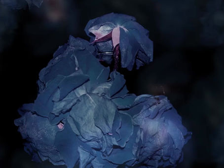 Comprendre ce qu'est le PARDON vraiment..