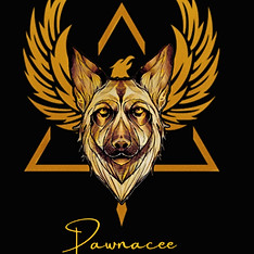 pawnacee_edited.jpg