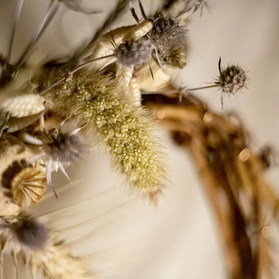 Thumbnail: Dried Grass and Flower Wreath