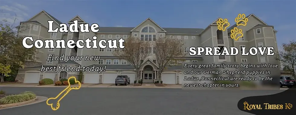 Tiny Puppies for Sale Near Me | Royal Tribes K9 Breeder