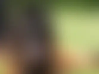 German Shepherd Puppies in Broken Arrow Oklahoma | Royal Tribes K9