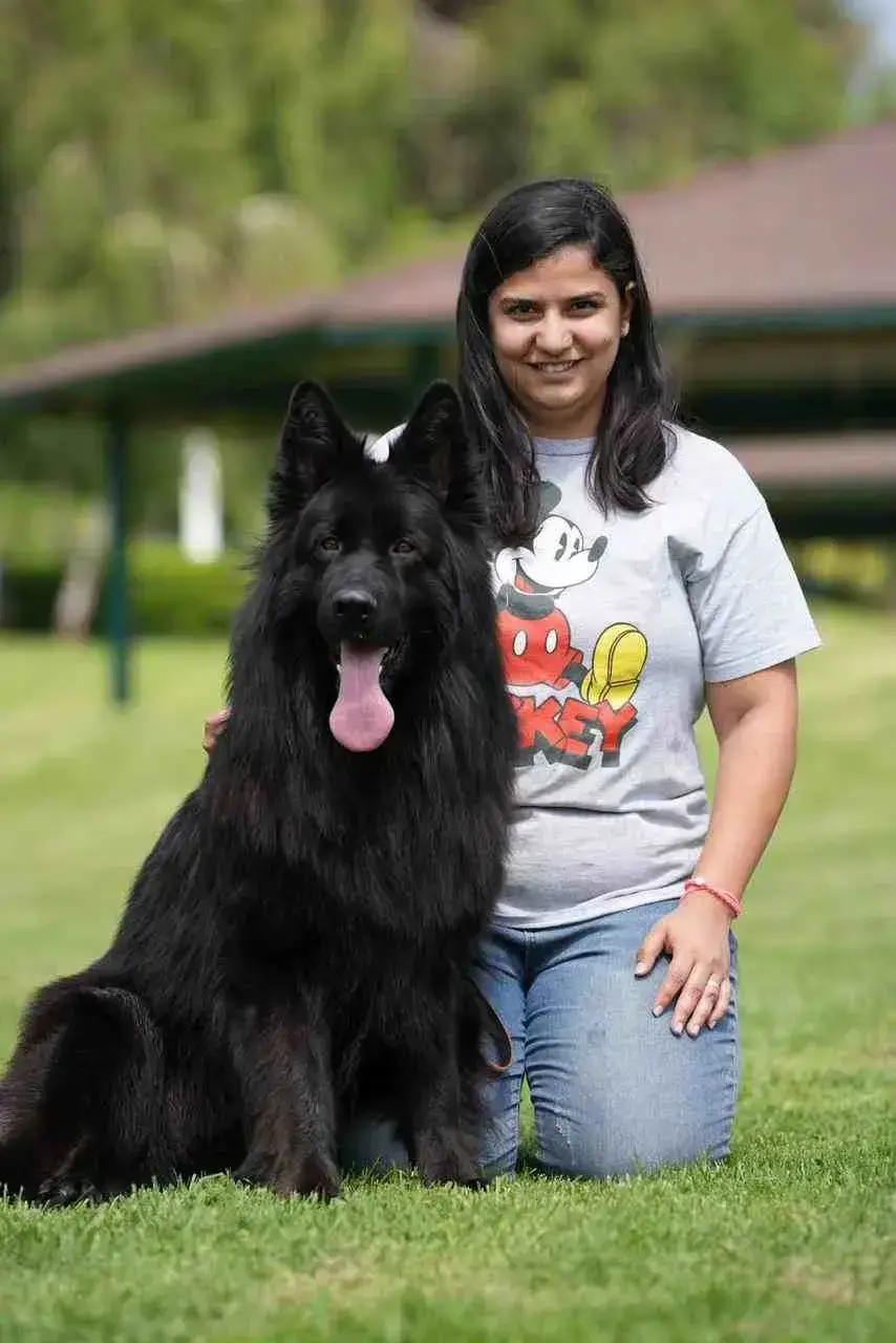 A man joyfully plays with a German Shepherd dog in a sunny