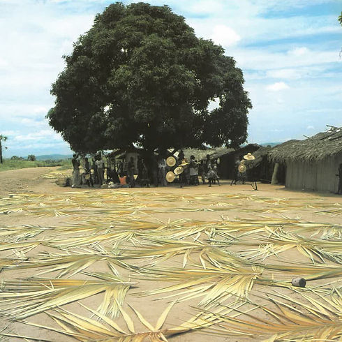 Afro congo Square.jpg