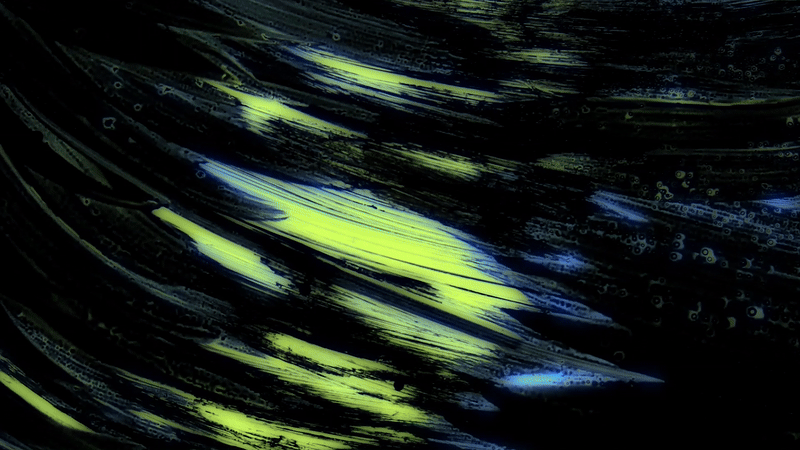 CLIP02_FINALCLIPS_GIF.gif