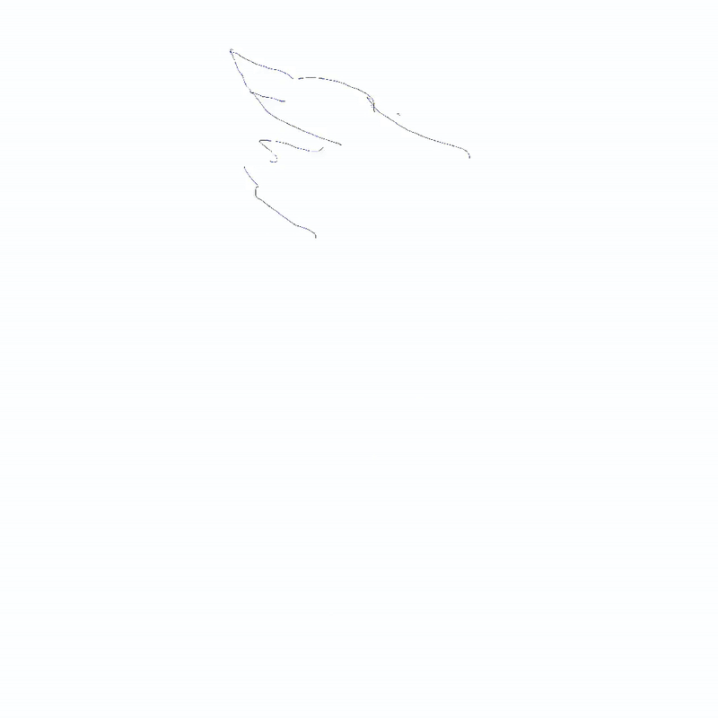 bluebird_speed.gif