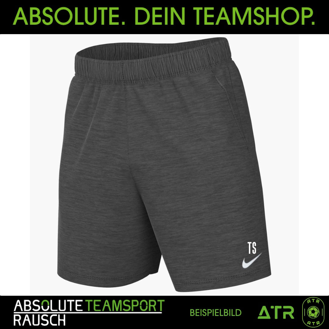 Nike Park FLC Short grey IB1242|IB1238|IB1243-071 mit WAPPEN