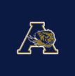 Arlington High School Football