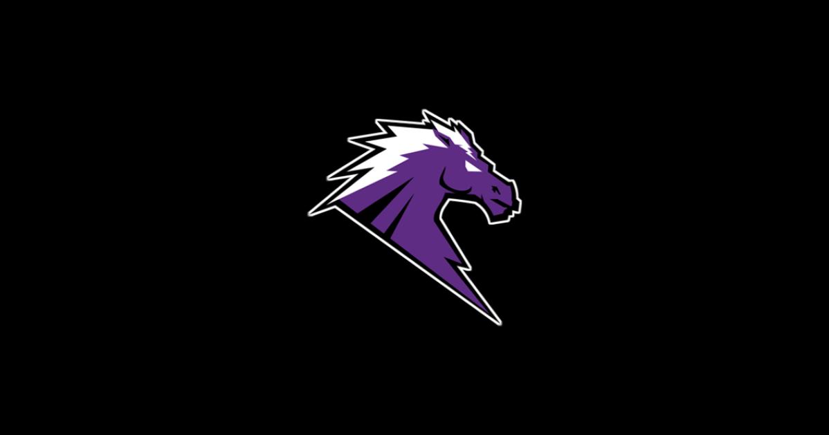 The Athletic Academy (8).png