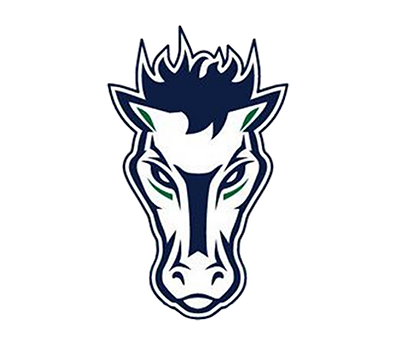 Damonte Ranch High School Football
