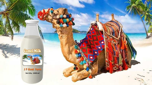 CAMEL MILK website backround.jpg