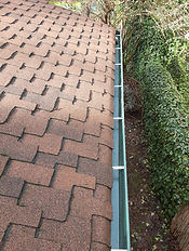 123_1(3).jpeg