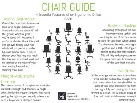 Ergonomic Chair Guide