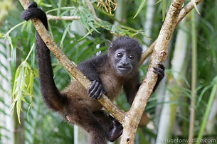 Refuge for Wildlife-37.jpg