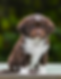 DSC_5787_edited_edited.png