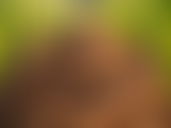 The Importance of Proper Drainage Outlet Maintenance for Agricultural Success