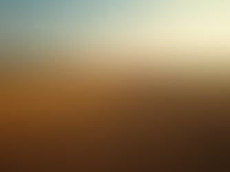 The Impact of Agricultural Land Leveling on Water Management and Crop Yields