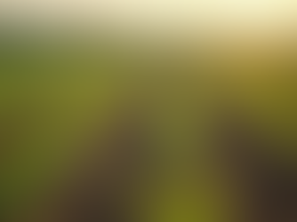 Exploring the Advantages of Effective Water Drainage for Agricultural Fields