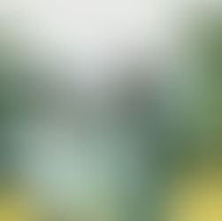 Byron Messia’s "Talibans II" with Burna Boy Earns Gold Certification in Canada