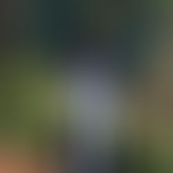 Jamaican-Born Talent Pharo Begins His Journey Fusing Trap and Dancehall