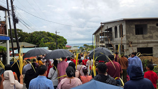 Palm Sunday procession