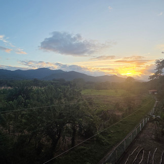 The Finca =)