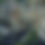 Thumbnail: Liminal