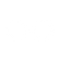 White Flickr Icon