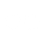White Flickr Icon