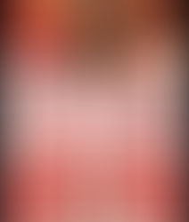 PROJECT: THE TRUTH ABOUT FIREWORKS AND ANIMALS