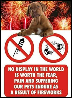 PROJECT: THE TRUTH ABOUT FIREWORKS AND ANIMALS