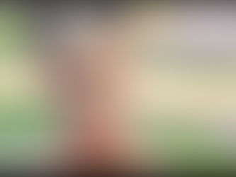 PROJECT: THE JOSHLIN SMITH CASE