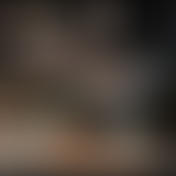 PROJECT: NEW ANIMAL TRANSPORT REGULATIONS WITH EFFECT 12 MARCH 2026