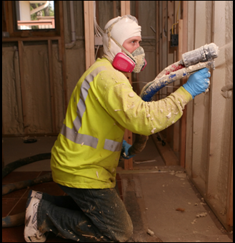 PROJECT:Â LOFT INSULATION SCAMS